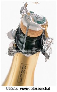 bottiglia-champagne_~035535