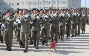 Eser Cagnetta Mascotte