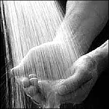 acqua 2