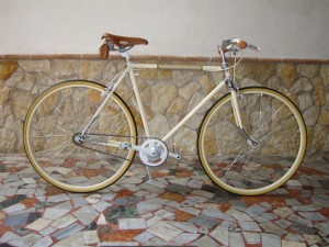 Bicicletta