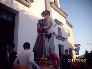 IMG_2459