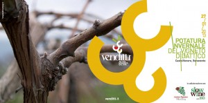 VENDITTI POTATURA 2013
