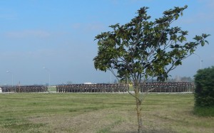 CAPUA Le compagnie dei volontari del 17° Rav ACQUI pronte a marciare